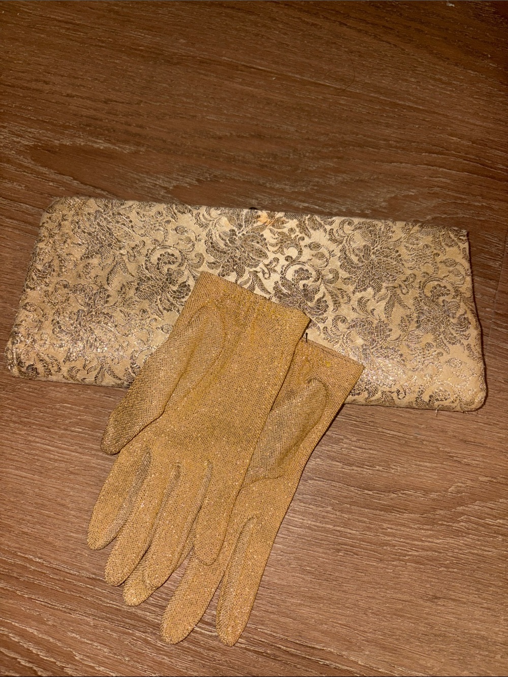 Vintage Cluth with gloves
